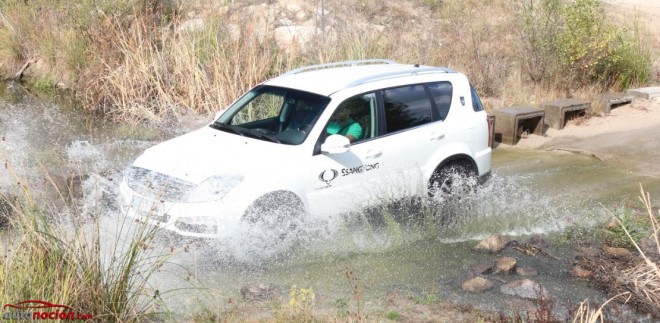 Ssangyong Rexton 46