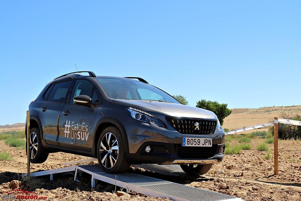 Peugeot SUV Trophy (26)