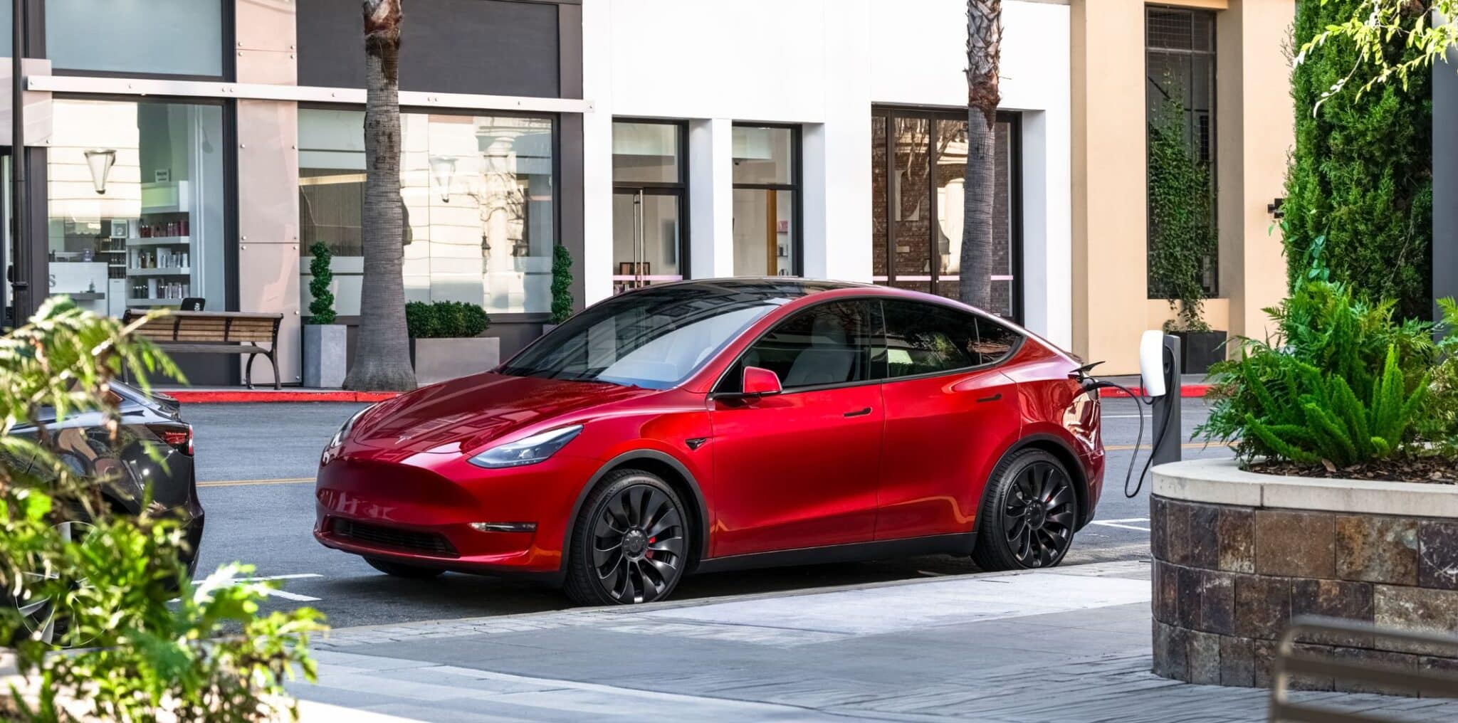 Model Y